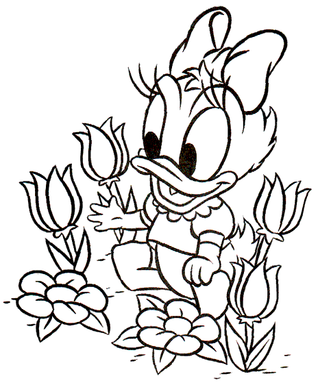 Daisy kolorowanki